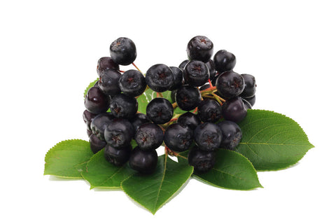 Aronia