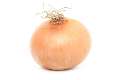 Onion