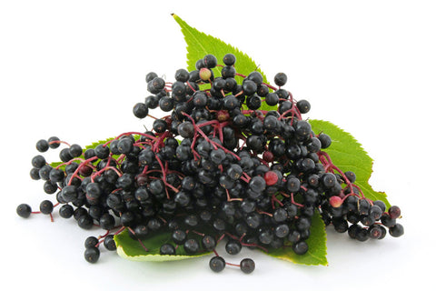 Elderberry