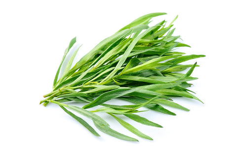 Tarragon