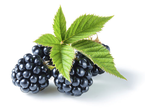 Organic Blackberry