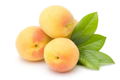 Apricot