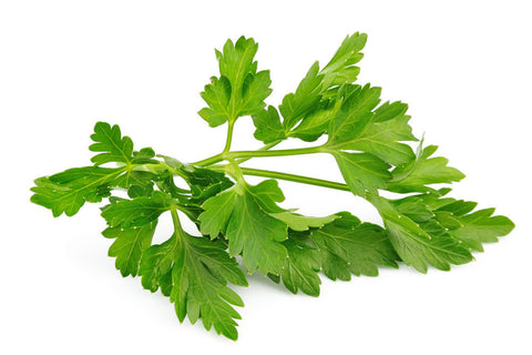 Organic Parsley flat