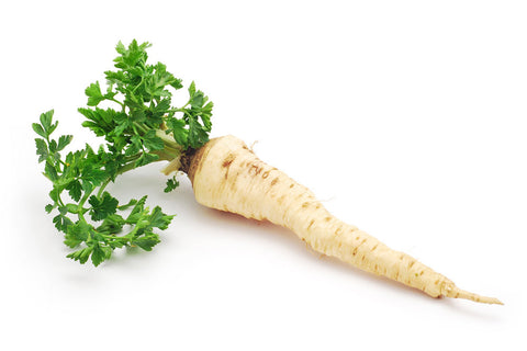 Parsley root