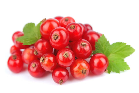 Redcurrant
