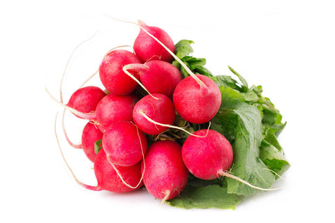Radish