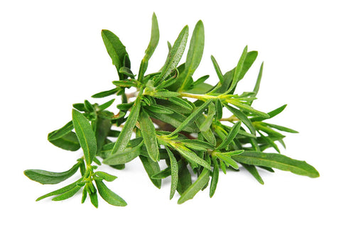 Thyme